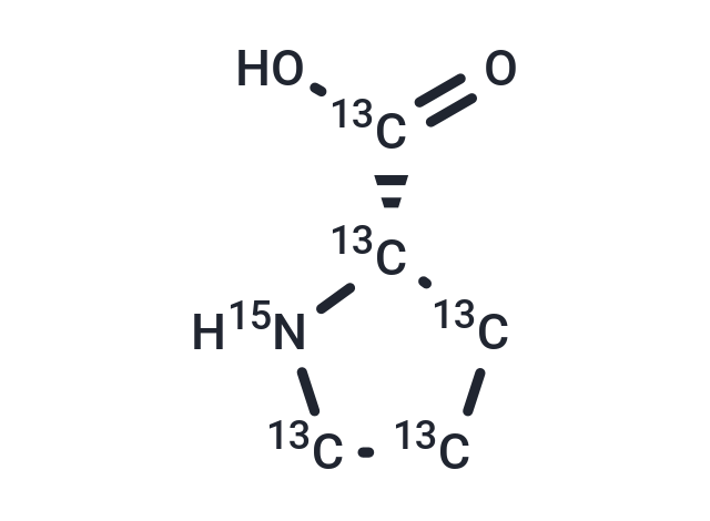 L-Proline-13 C 5 , 15 N