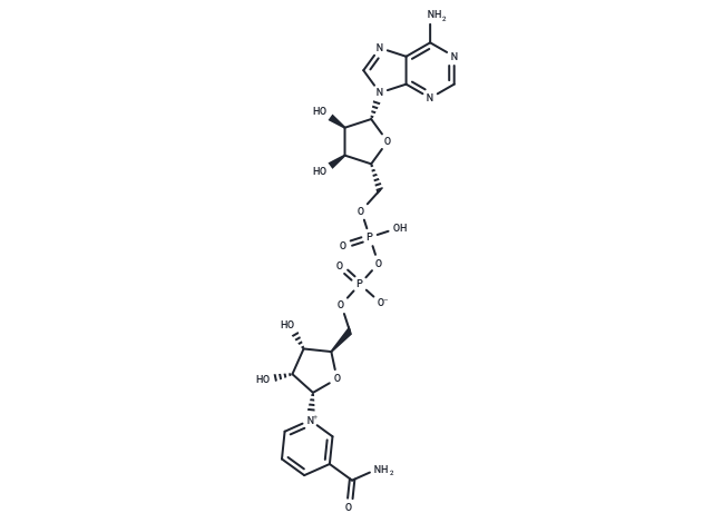 α-NAD