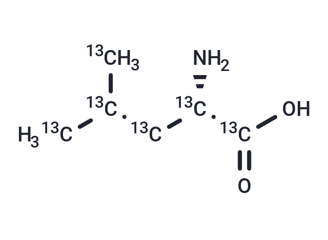 L-Leucine-13 C 6