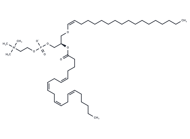 1-1(Z)-Octadecenyl-2-arachidonoyl-sn-glycero-3-PC