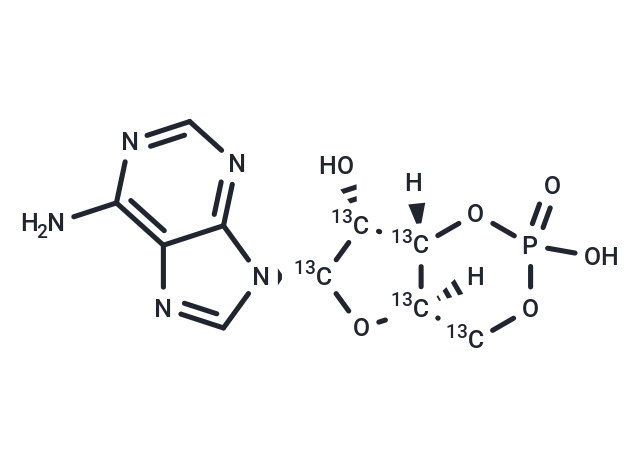 Cyclic AMP-13C5