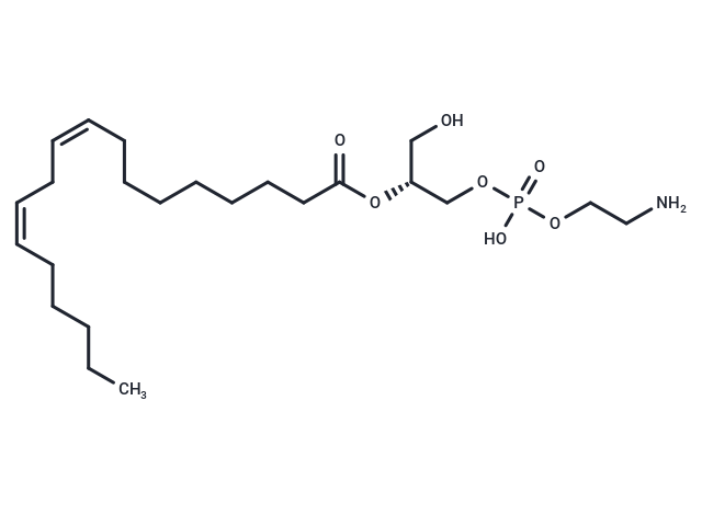 2-Linoleoyl-sn-glycero-3-phosphoethanolamine