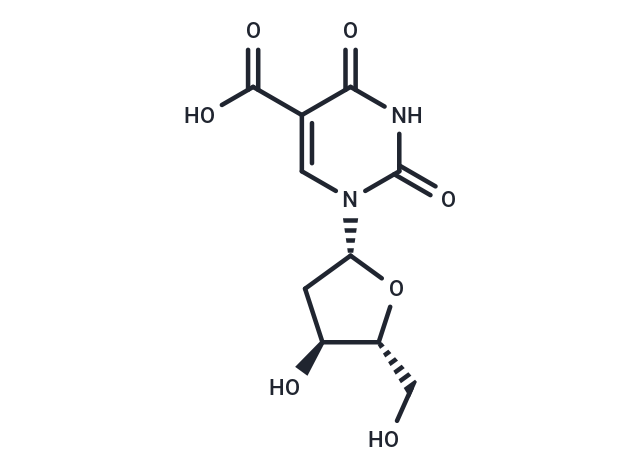 5-Carboxy-2′-deoxyuridine