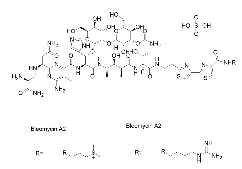 Bleomycin Sulfate