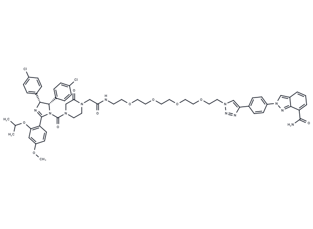 PROTAC PARP1 degrader