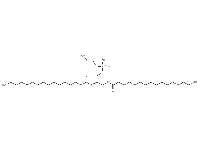 (S)-1,2-Dipalmitoyl-sn-glycero-3-phosphoethanolamine