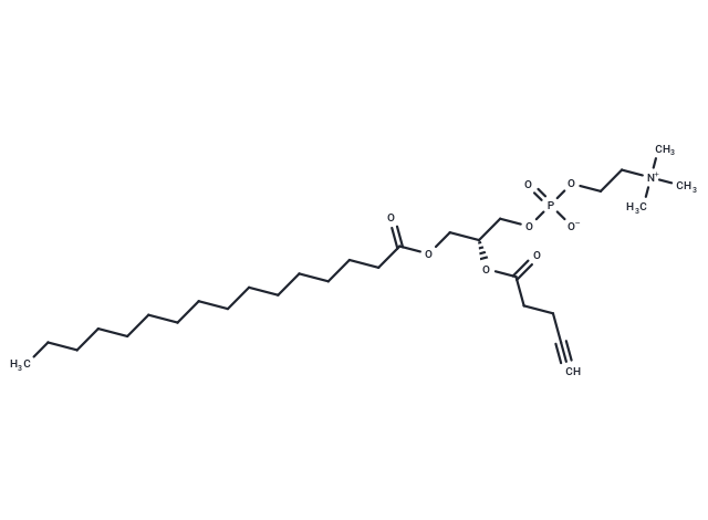 1-Palmitoyl-2-(propargylacetyl)-sn-glycero-3-phosphocholine