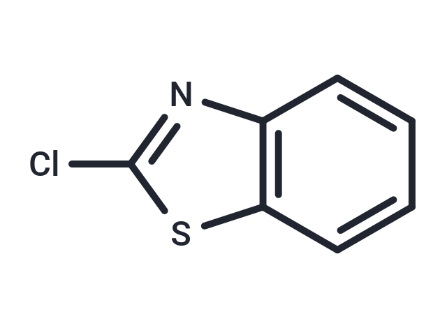 2-Chlorobenzothiazole (Standard)