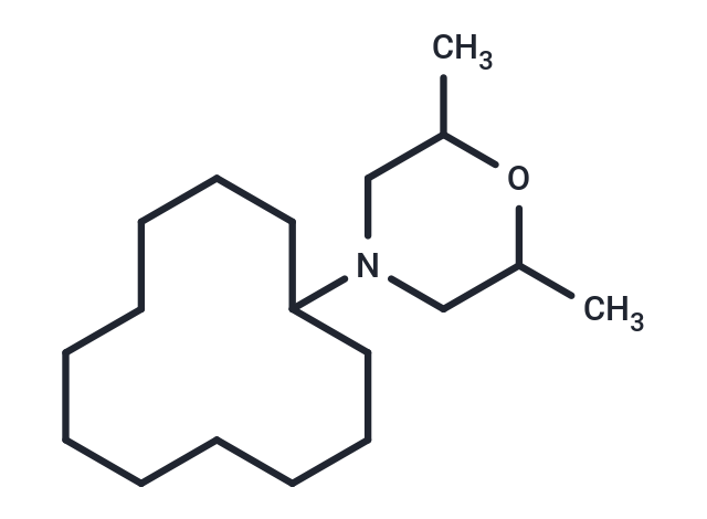 Dodemorph (Standard)