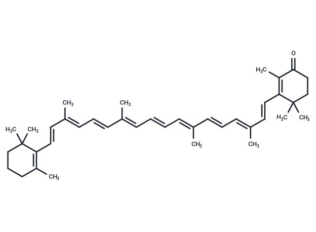 Echinenone (Standard)