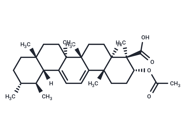 Acetyl 9,11-dehydro β-boswellic acid (Standard)