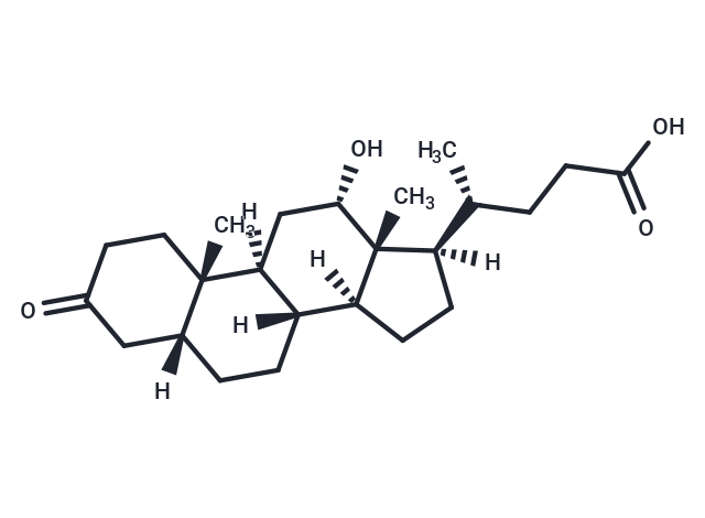 3-Oxodeoxycholic Acid (Standard)