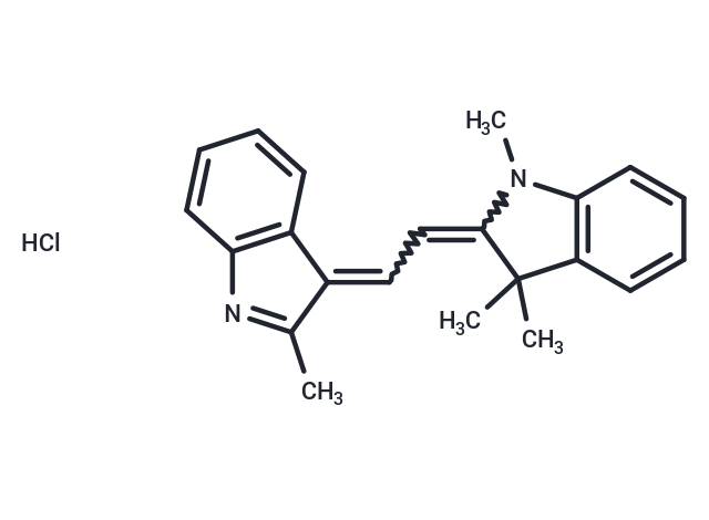 Basic Orange 21 (Standard)