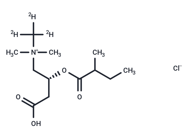 2-Methylbutyryl-L-carnitine-d3 HCl (N-methyl-d3) (Standard)