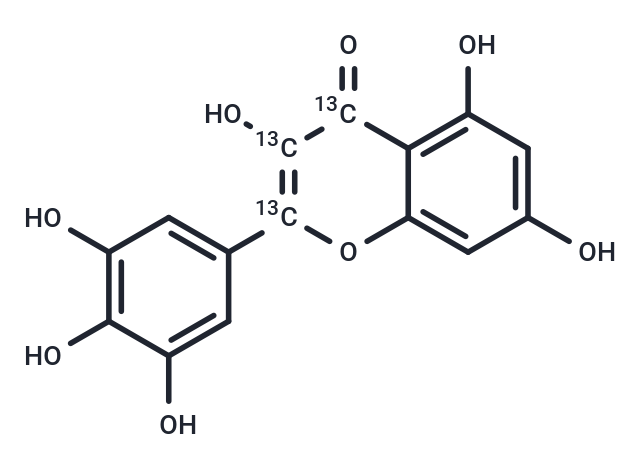 Myricetin-[13C3] (Standard)