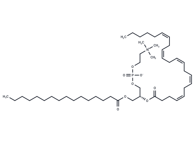 PC 16:0-22:5 (PC8 aa C38:5) (Standard)