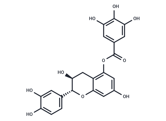 (+)-atechin 5-gallate (Standard)