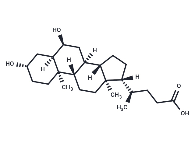 β-Hyodeoxycholic Acid (Standard)