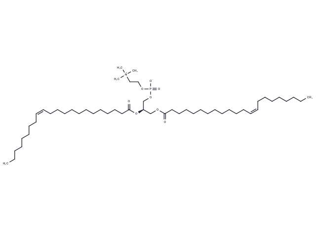 1,2-Dierucoyl-sn-glycero-3-PC