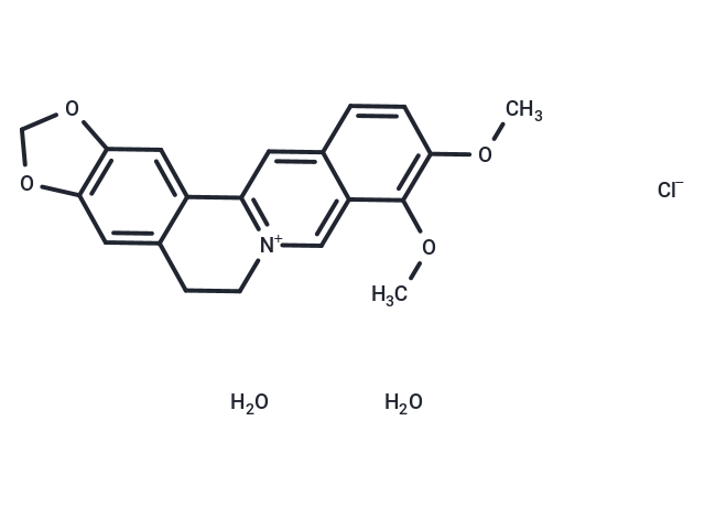 Berberine chloride dihydrate (Standard)