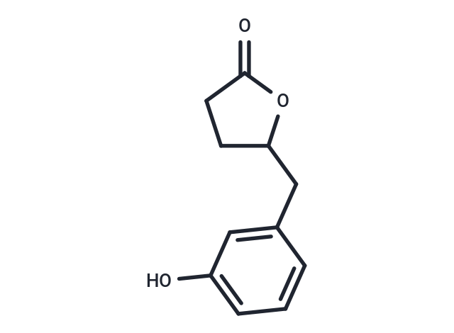 5-(3'-Hydroxyphenyl)-γ-Valerolactone