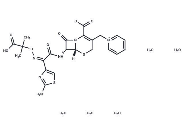 Ceftazidime Pentahydrate