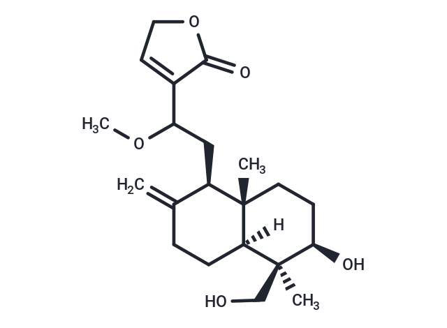 14-Deoxy-12-methoxyandrographolide