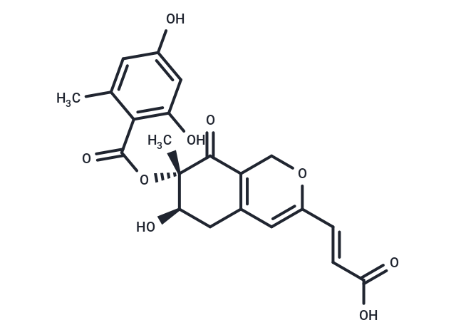 Pinazaphilone A