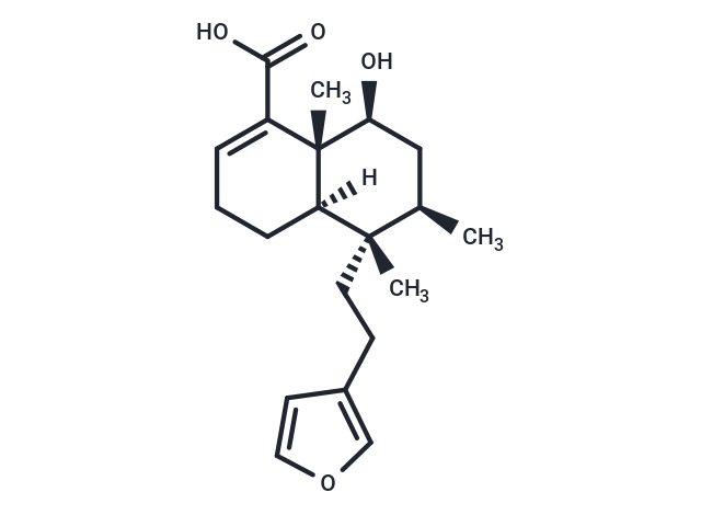 Compound 134037-63-1