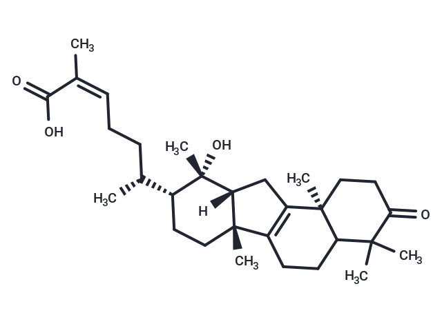Neokadsuranic acid C