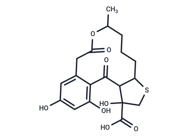 4,17,19-trihydroxy-11-methyl-2,13-dioxo-12-oxa-6-thiatricyclo[13.4.0.0^{3,7}]nonadeca-1(19),15,17-triene-4-carboxylic acid
