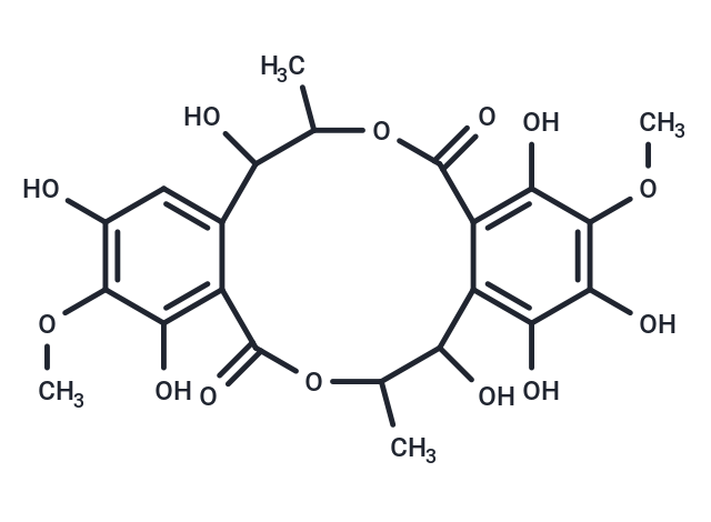 5,7,8,10,15,18,20-heptahydroxy-9,19-dimethoxy-4,14-dimethyl-3,13-dioxatricyclo[14.4.0.0^{6,11}]icosa-1(20),6,8,10,16,18-hexaene-2,12-dione