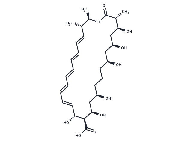 (2R,3S,4E,6E,8E,10E,12E,14R,15R,16R,18R,22S,24S,26S,27R)-14,16,18,22,24,26-hexahydroxy-2,3,27-trimethyl-28-oxo-1-oxacyclooctacosa-4,6,8,10,12-pentaene-15-carboxylic acid