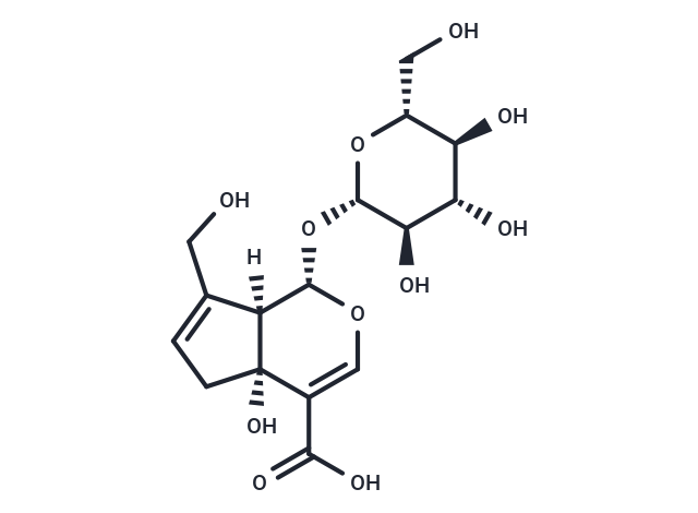 5-Hydroxygeniposidic acid