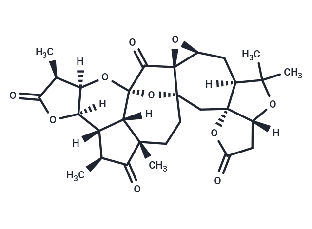 Schirubridilactone D