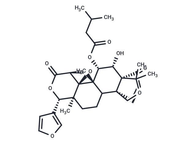7-Isovaleroylcycloseverinolide