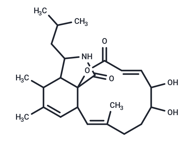 5,6-dihydroxy-9,12,13-trimethyl-14-(2-methylpropyl)-2H,5H,6H,7H,8H,10aH,13H,13aH,14H,15H,16H-oxacyclododeca[2,3-d]isoindole-2,16-dione