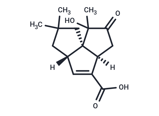 (1R,5R,8S)-2-hydroxy-2,10,10-trimethyl-3-oxotricyclo[6.3.0.0^{1,5}]undec-6-ene-6-carboxylic acid