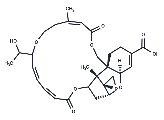(1'R,2S,3'R,8'R,12'E,18'E,20'E,25'S)-17'-(1-hydroxyethyl)-13',25'-dimethyl-11',22'-dioxo-2',10',16',23'-tetraoxaspiro[oxirane-2,26'-tetracyclo[22.2.1.0^{3,8}.0^{8,25}]heptacosane]-4',12',18',20'-tetraene-5'-carboxylic acid