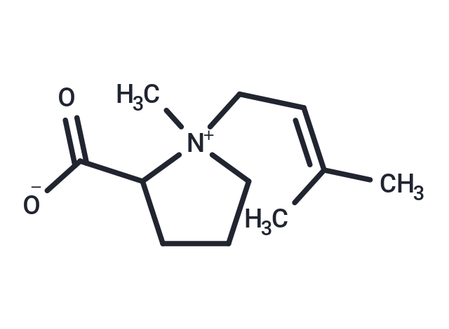 1-methyl-1-(3-methylbut-2-en-1-yl)pyrrolidin-1-ium-2-carboxylate