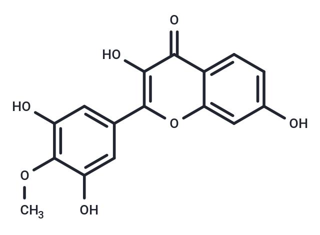 2-(3,5-dihydroxy-4-methoxyphenyl)-3,7-dihydroxy-4H-chromen-4-one