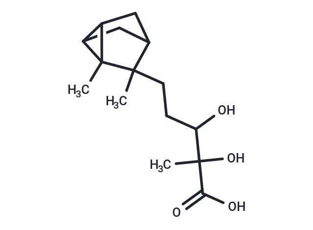 5-{2,3-dimethyltricyclo[2.2.1.0^{2,6}]heptan-3-yl}-2,3-dihydroxy-2-methylpentanoic acid