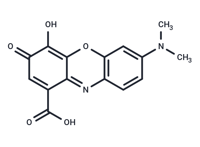 Callocyanine