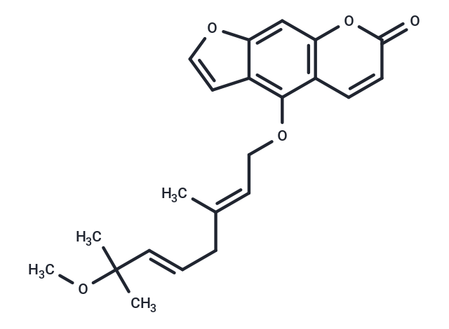 O-Methylnotoptol