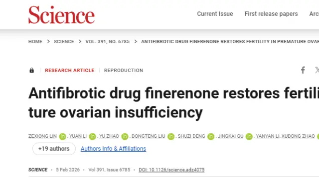 Recommended Reading | Finerenone Restores Fertility in POI: A Breakthrough in Antifibrotic Treatment for Infertility