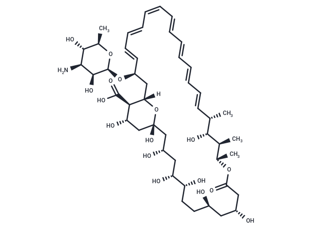 Amphotericin B