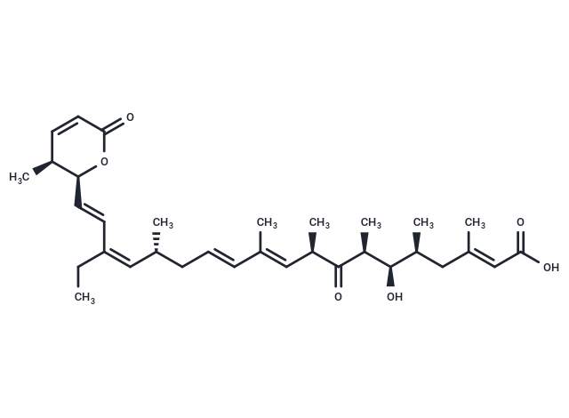 Leptomycin B