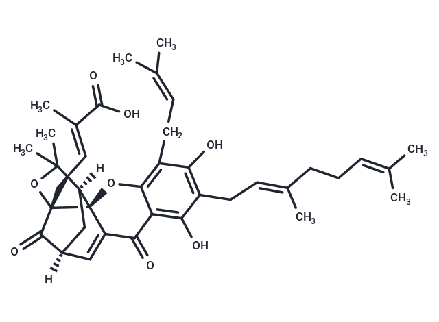 Isogambogenic acid