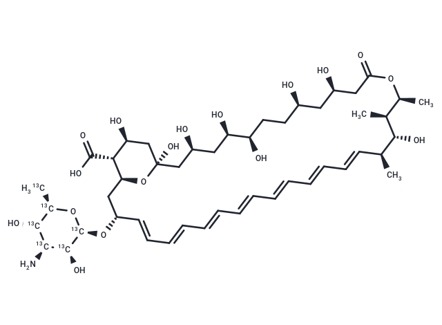 Amphotericin B-[13C6] (Standard)