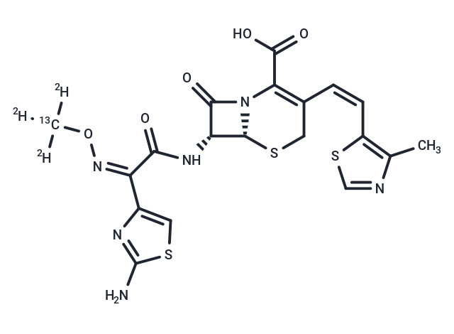 Cefditoren-[13C,D3] (Standard)